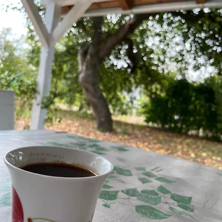 Kuca Za Odmor Sremac Ferienhaus Apatin