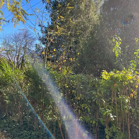 Kuca Za Odmor Sremac Ferienhaus Apatin