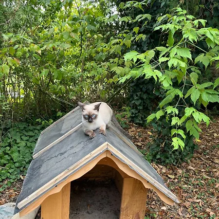 Kuca Za Odmor Sremac Ferienhaus *