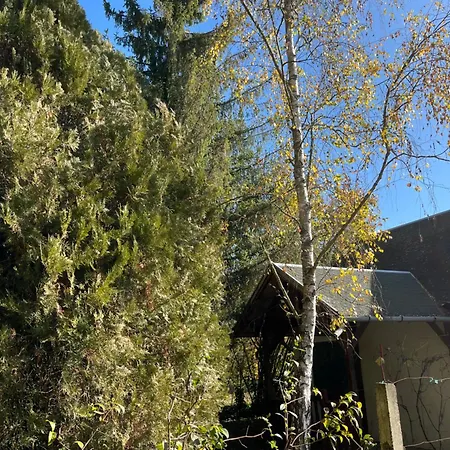 Ferienhaus Kuca Za Odmor Sremac Apatin