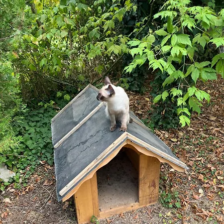 Kuca Za Odmor Sremac Ferienhaus