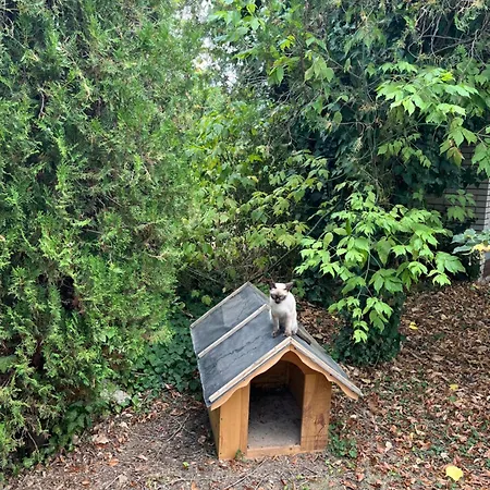 Kuca Za Odmor Sremac Apatin