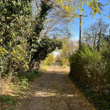 Kuca Za Odmor Sremac